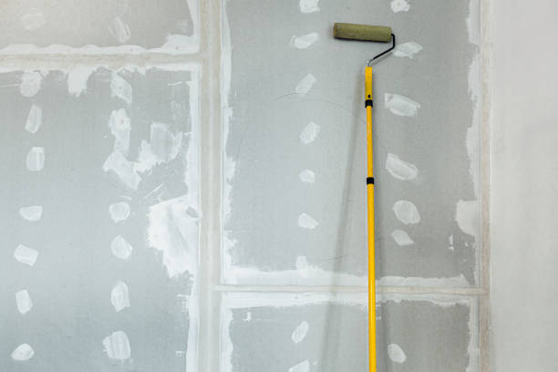 Best Emergency Mold Remediation  in Drum Point, MD