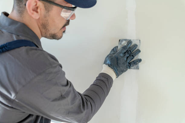 Trusted Drum Point, MD Mold Removal Experts
