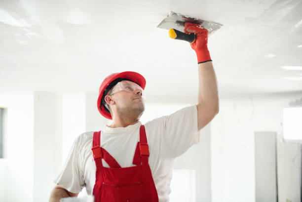 Best HVAC Mold Inspection and Cleaning  in Drum Point, MD